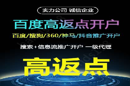 某科技公司的信息流广告投放策略与效果评估